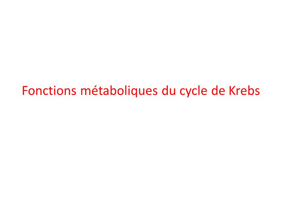 Fonctions métaboliques du cycle de Krebs