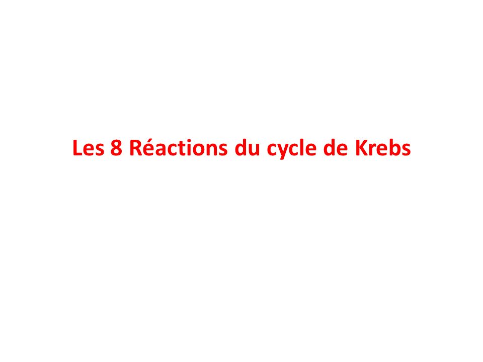 Les 8 Réactions du cycle de Krebs