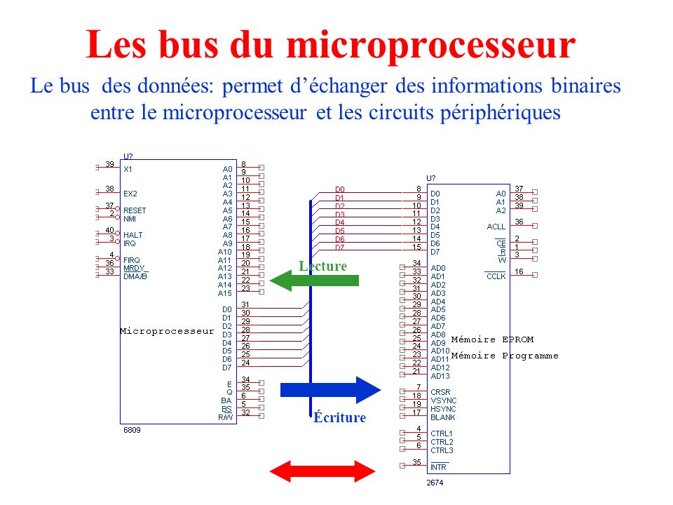 Les bus du microprocesseur