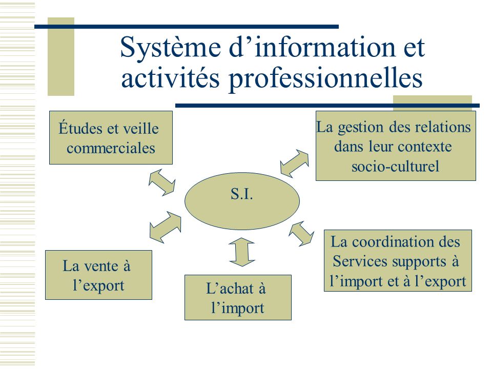 Système d’information et activités professionnelles