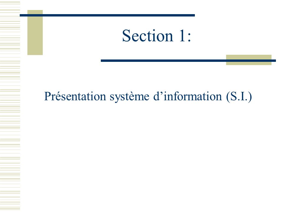 Présentation système d’information (S.I.)