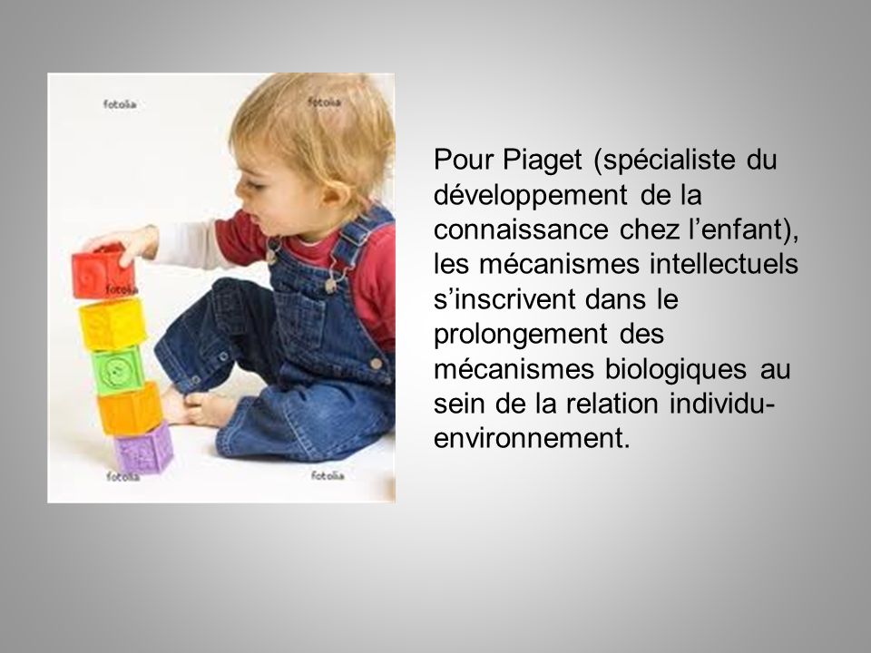 Pour Piaget (spécialiste du développement de la connaissance chez l’enfant), les mécanismes intellectuels s’inscrivent dans le prolongement des mécanismes biologiques au sein de la relation individu-environnement.