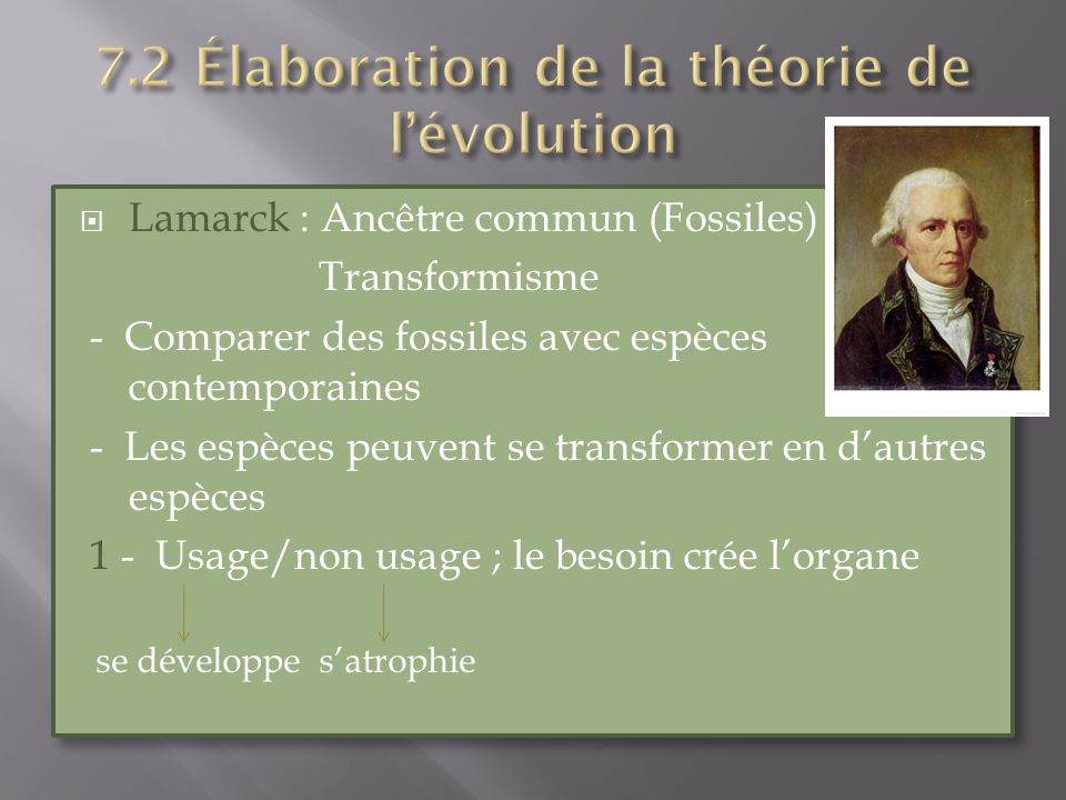 7.2 Élaboration de la théorie de l’évolution