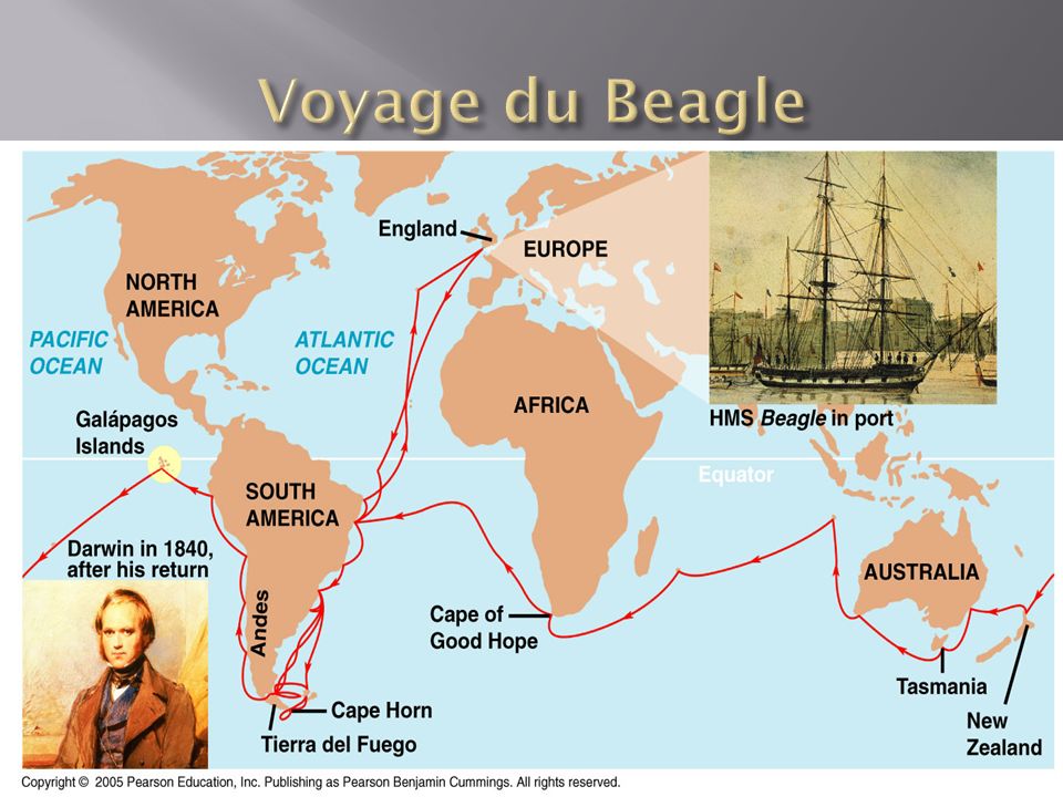 Voyage du Beagle