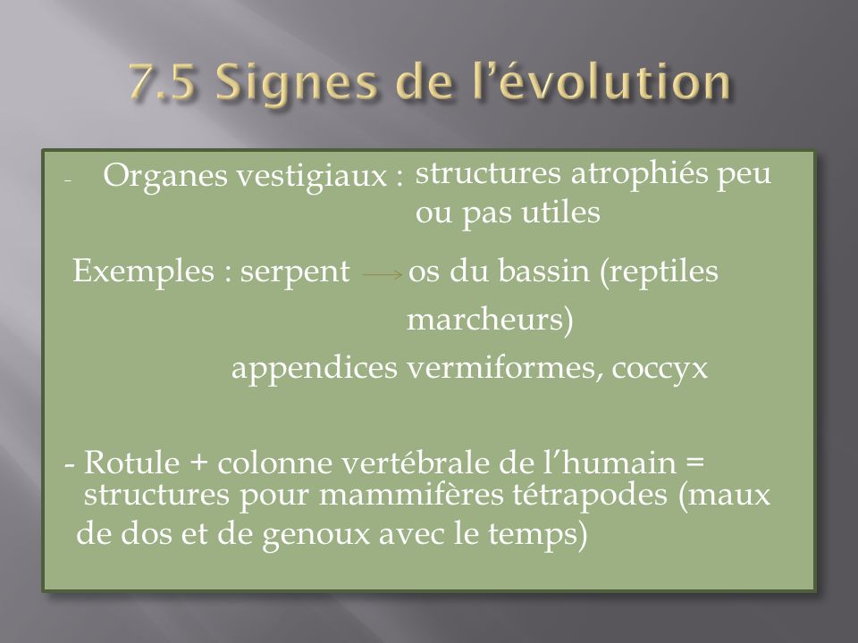 7.5 Signes de l’évolution structures atrophiés peu