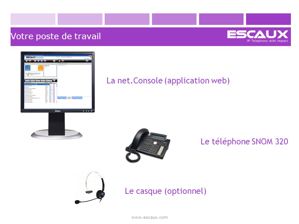 La net.Console (application web)