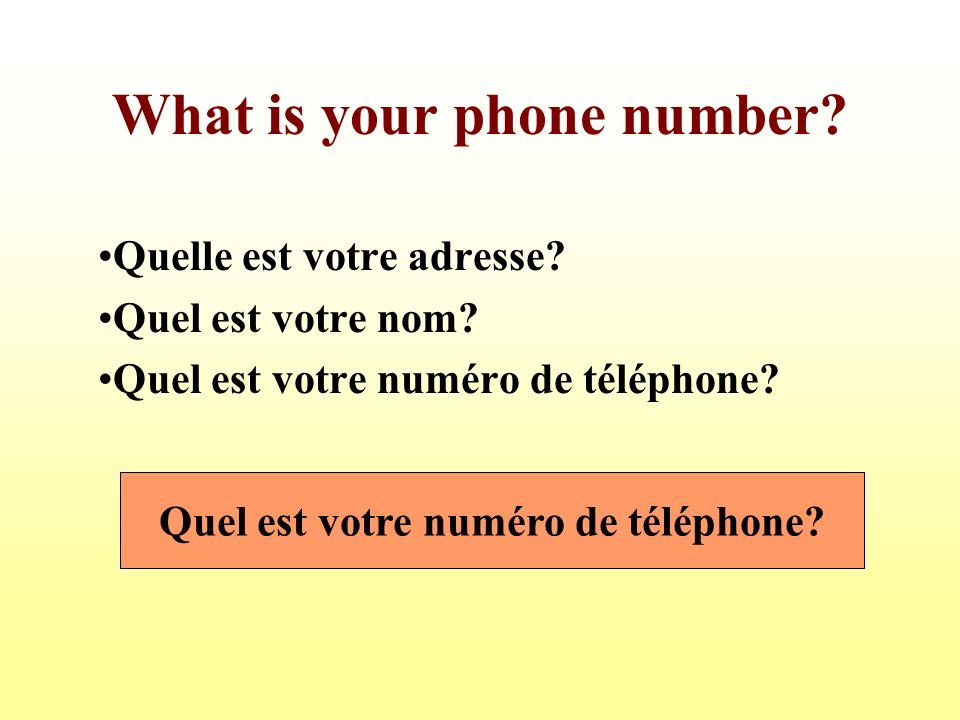 What is your phone number