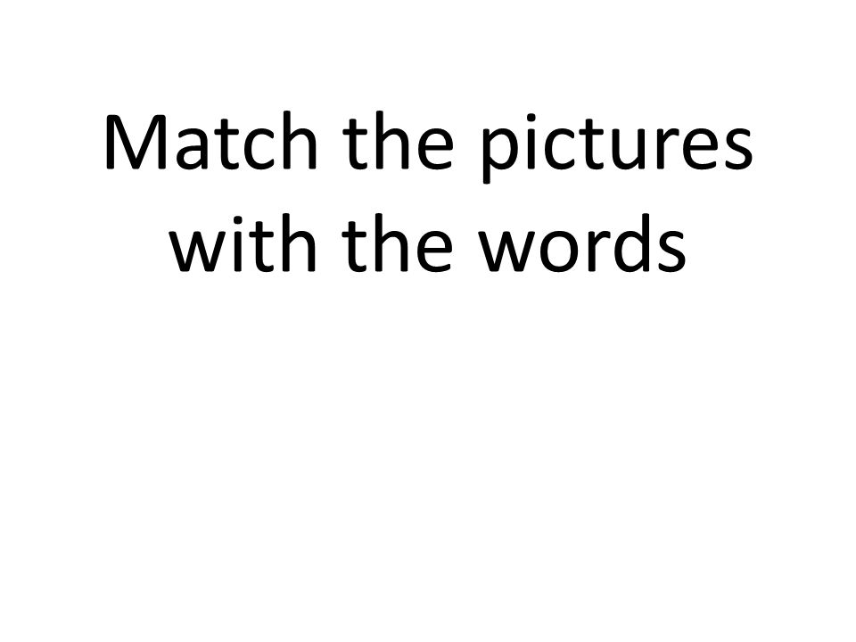 Match the pictures with the words