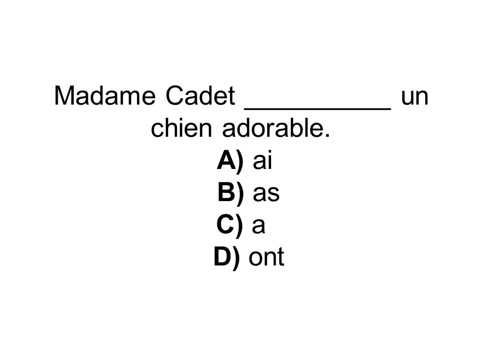 Madame Cadet __________ un chien adorable. A) ai B) as C) a D) ont