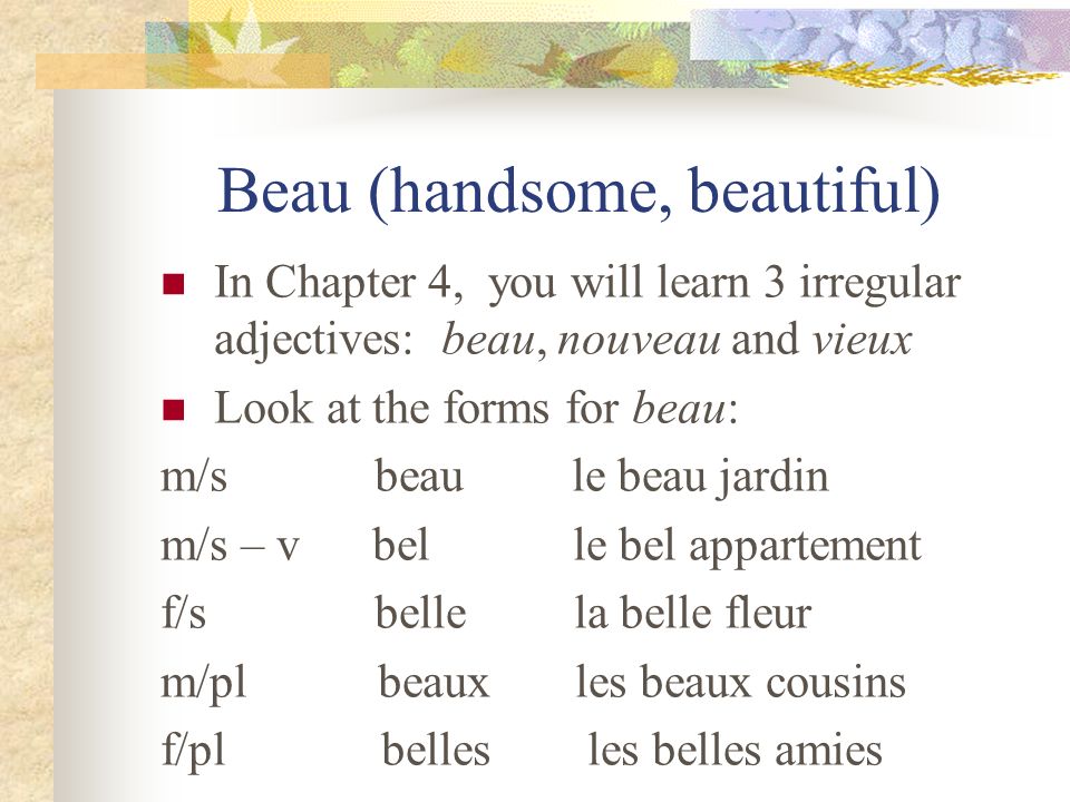 Beau (handsome, beautiful)