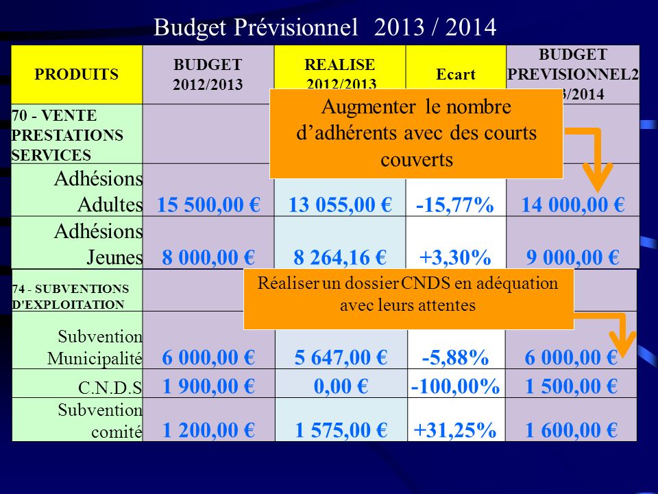 Budget Prévisionnel 2013 / 2014 Adhésions Adultes ,00 €