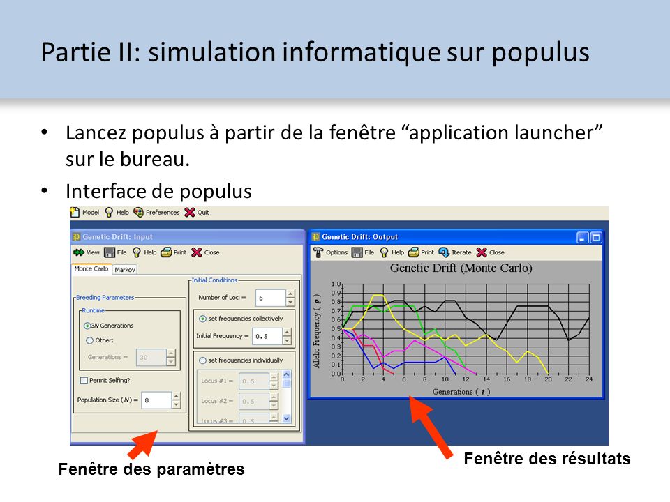 Partie II: simulation informatique sur populus