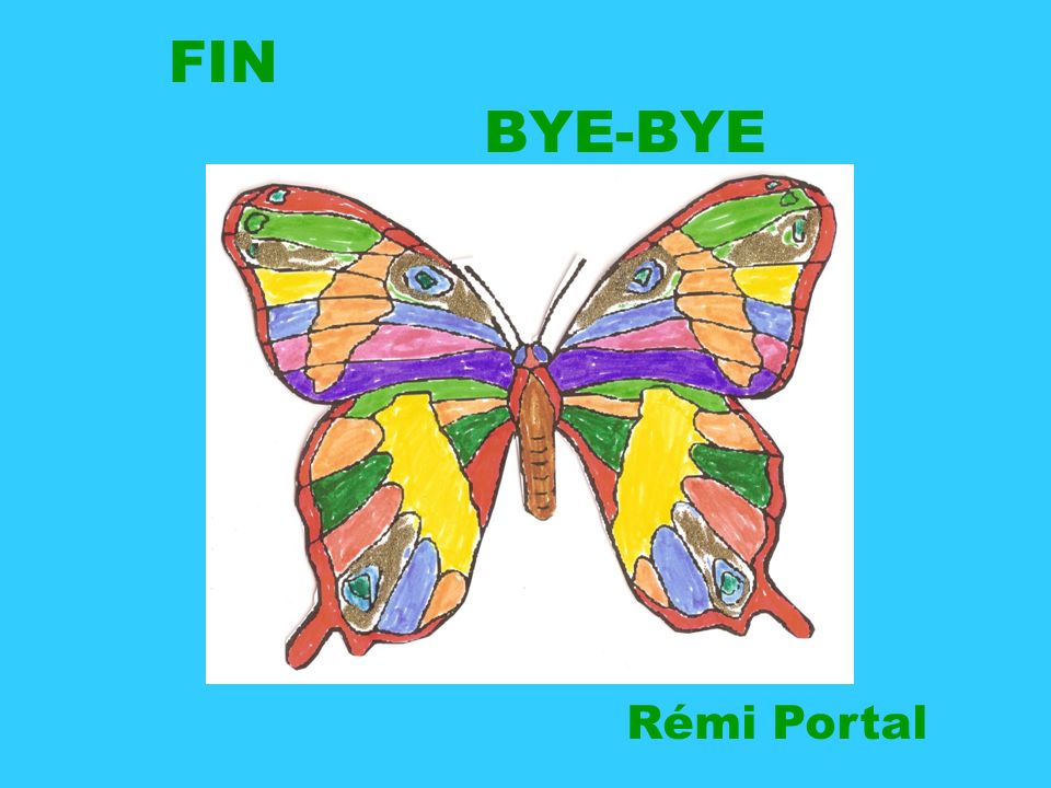 FIN BYE-BYE Rémi Portal