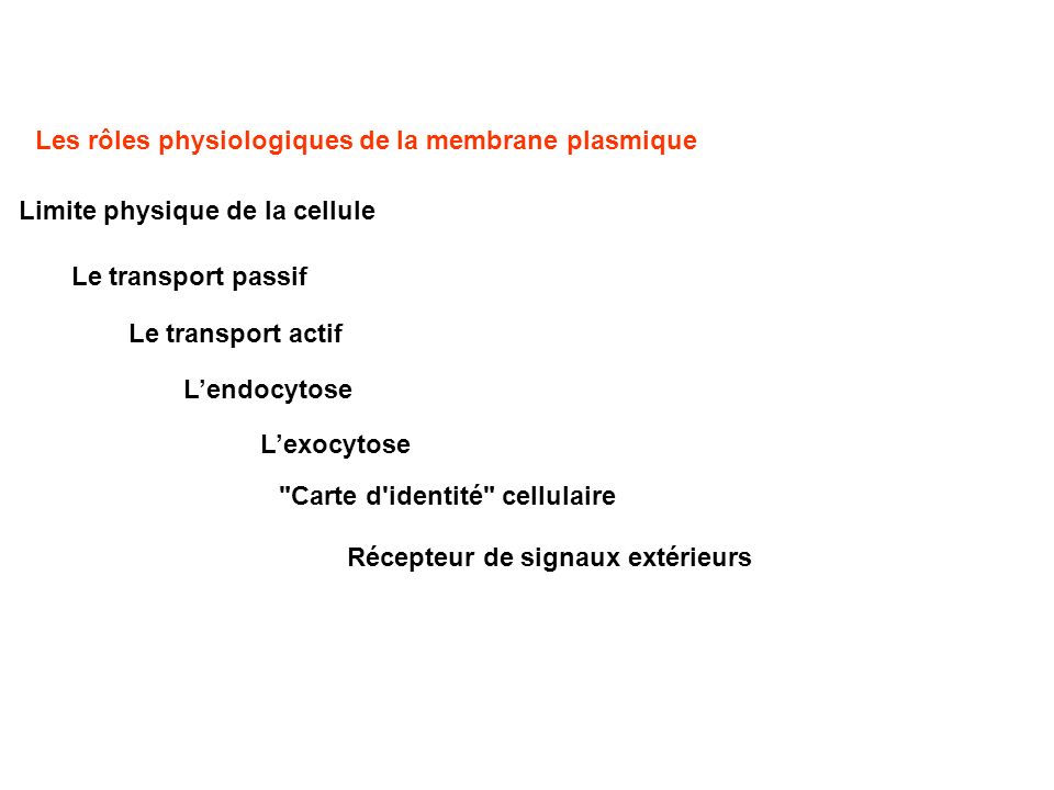 Les rôles physiologiques de la membrane plasmique
