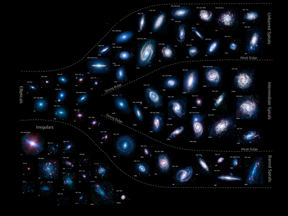 Ces galaxies ont toutes sortes de formes/morphologies entre : les irregulieres riches en gaz - les spirales avec des bras spiraux plus ou moins ouverts ou fermes, et de plus ou moins nombreux,