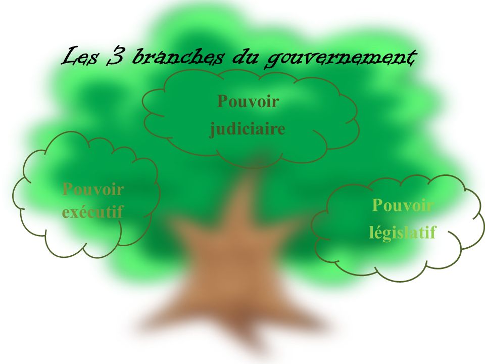 Les 3 branches du gouvernement