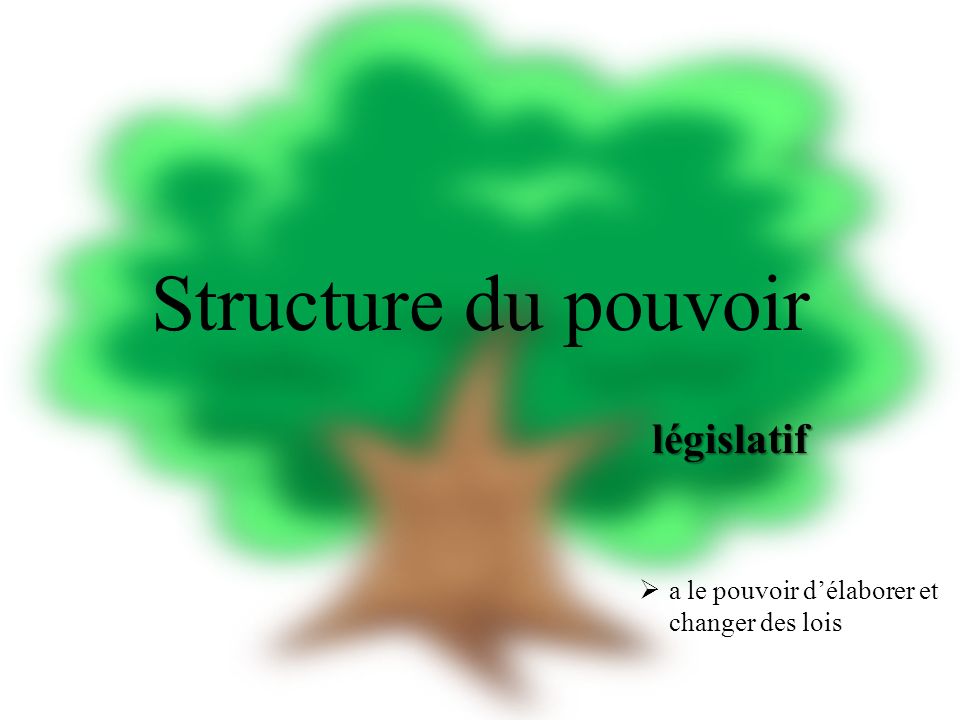 Structure du pouvoir législatif