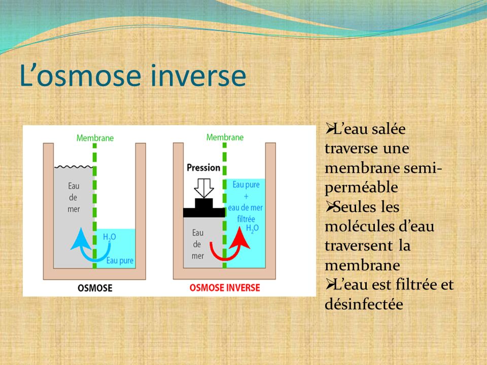 L’osmose inverse L’eau salée traverse une membrane semi-perméable