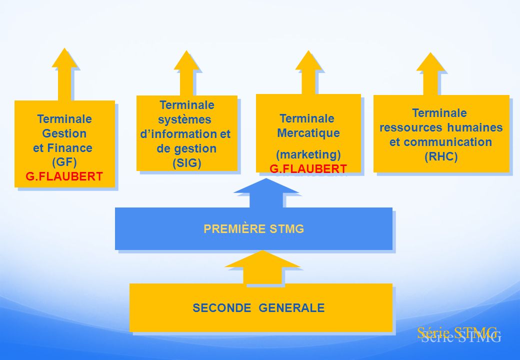 Série STMG Terminale Terminale systèmes Terminale Terminale
