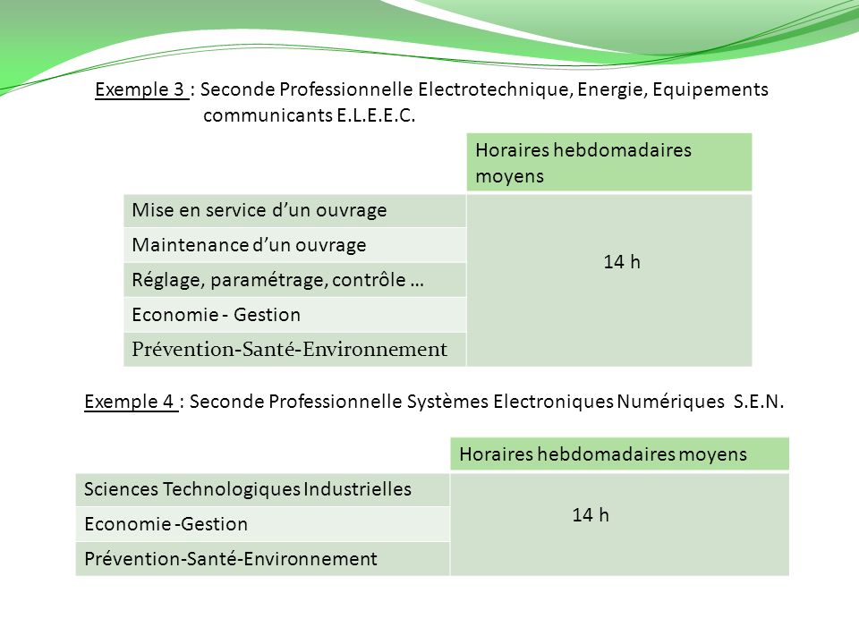 Exemple 3 : Seconde Professionnelle Electrotechnique, Energie, Equipements communicants E.L.E.E.C.