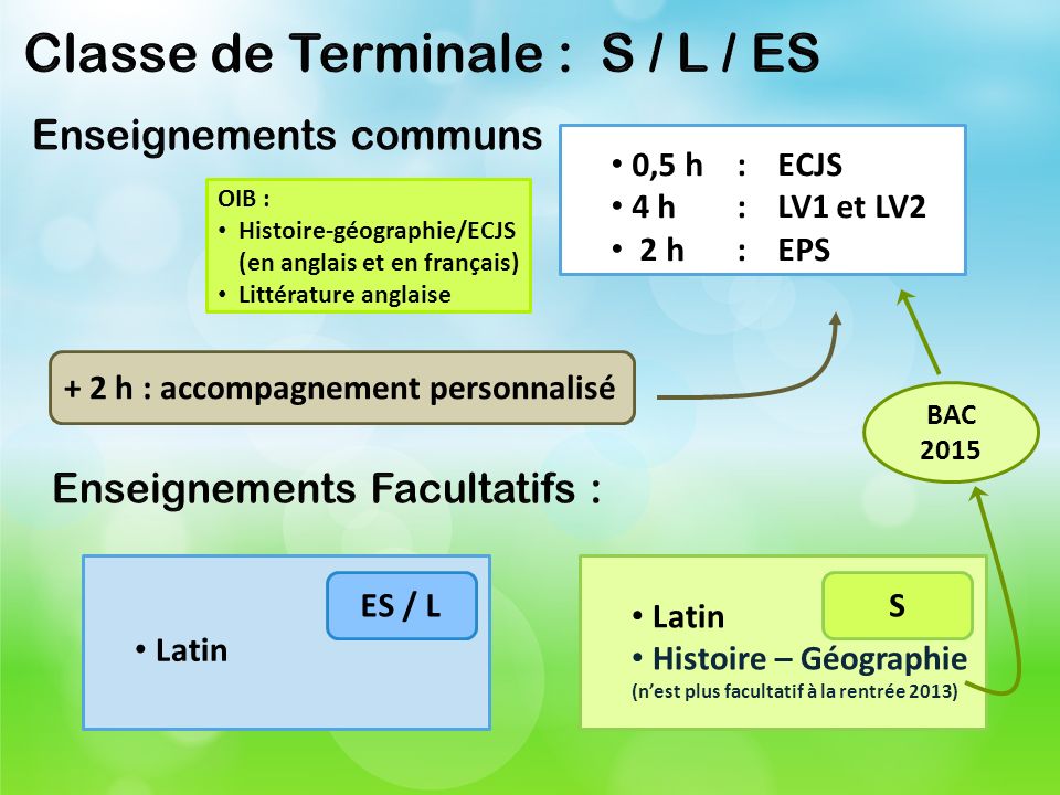 Classe de Terminale : S / L / ES