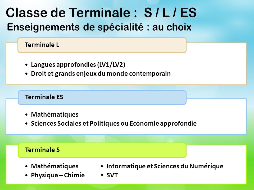 Classe de Terminale : S / L / ES