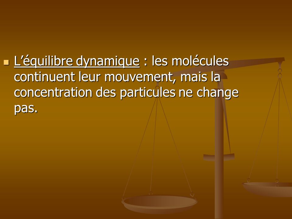 L’équilibre dynamique : les molécules continuent leur mouvement, mais la concentration des particules ne change pas.