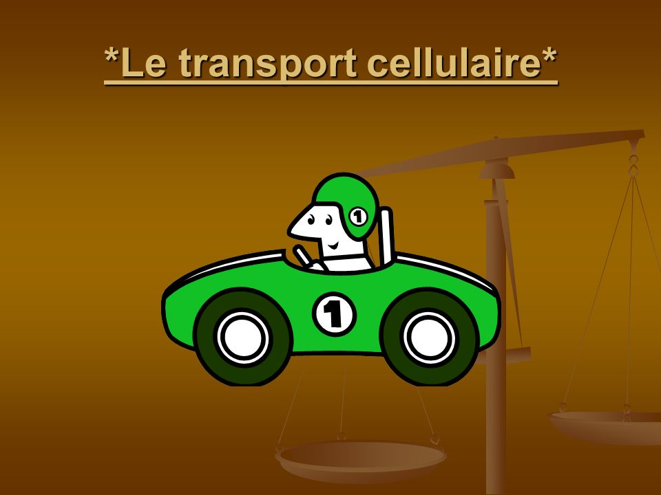 *Le transport cellulaire*