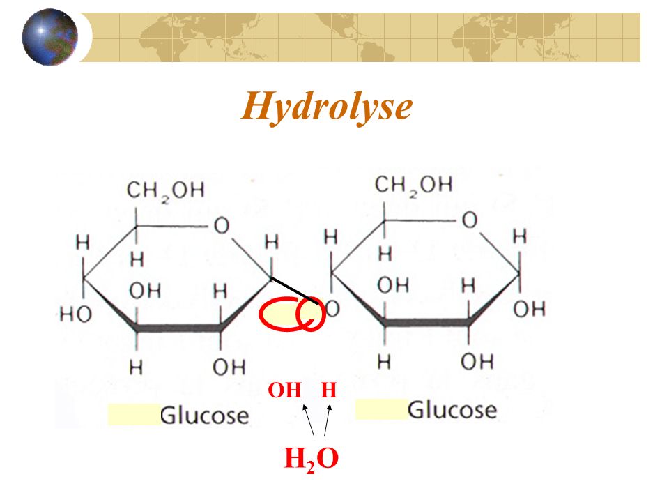 Hydrolyse OH H H2O