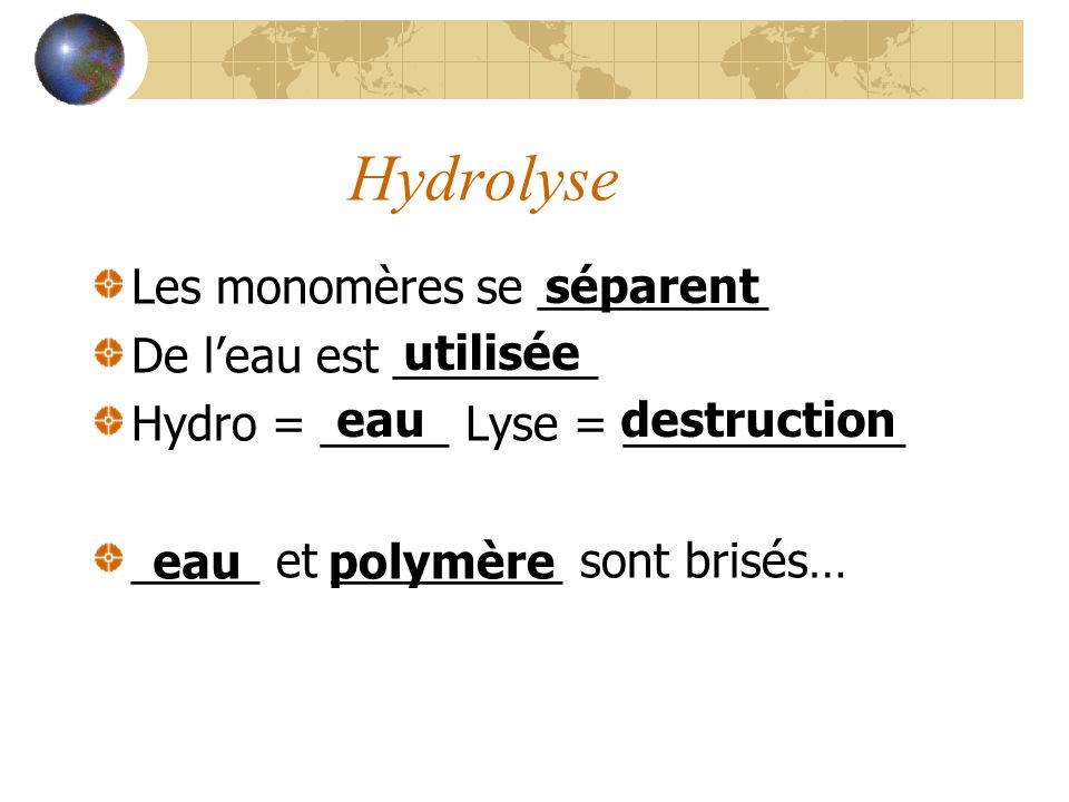 Hydrolyse Les monomères se _________ De l’eau est ________