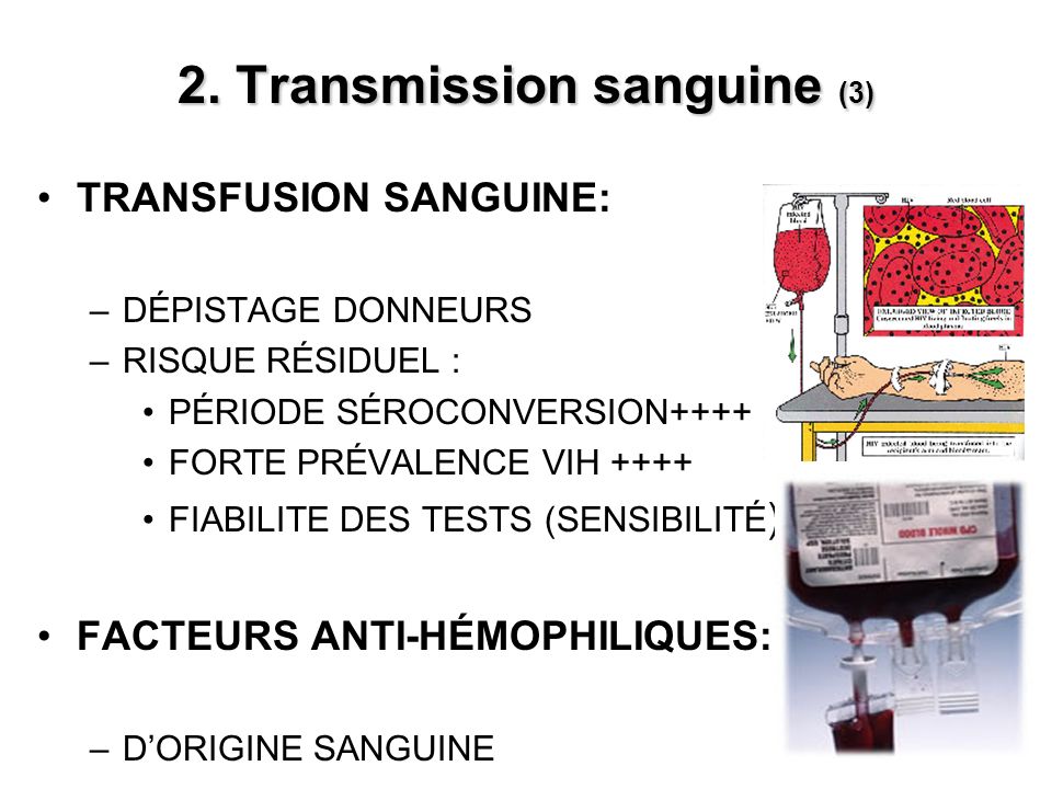 2. Transmission sanguine (3)