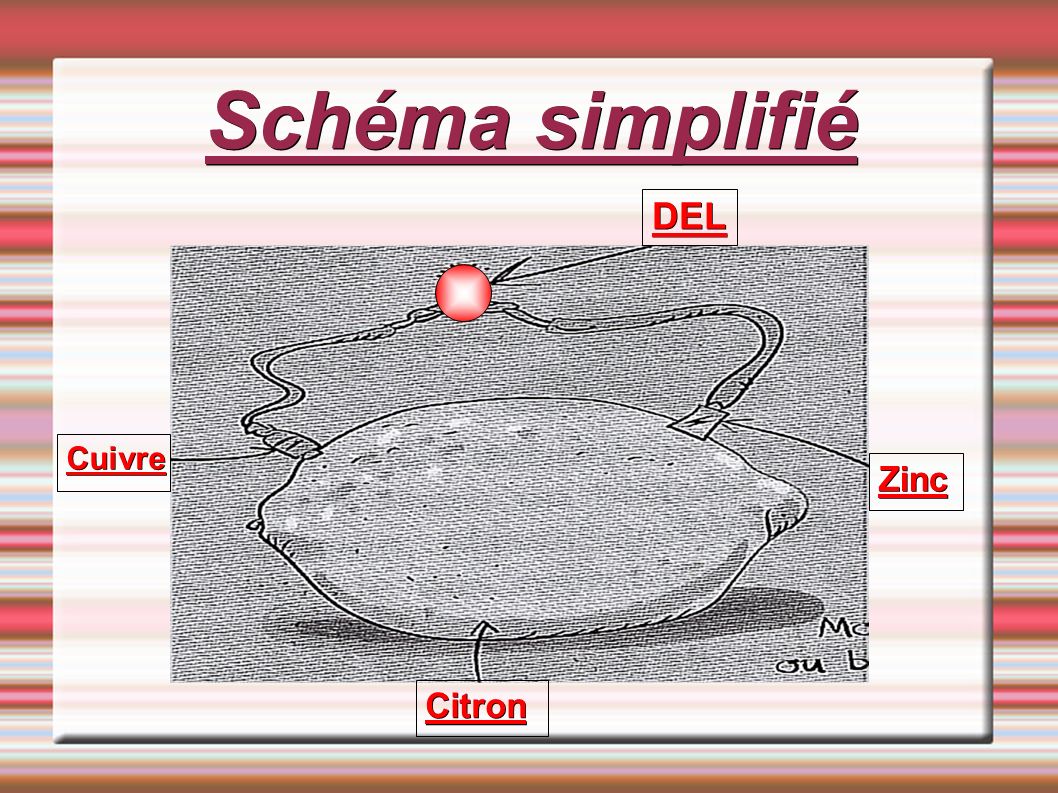 Schéma simplifié DEL Cuivre Zinc Citron