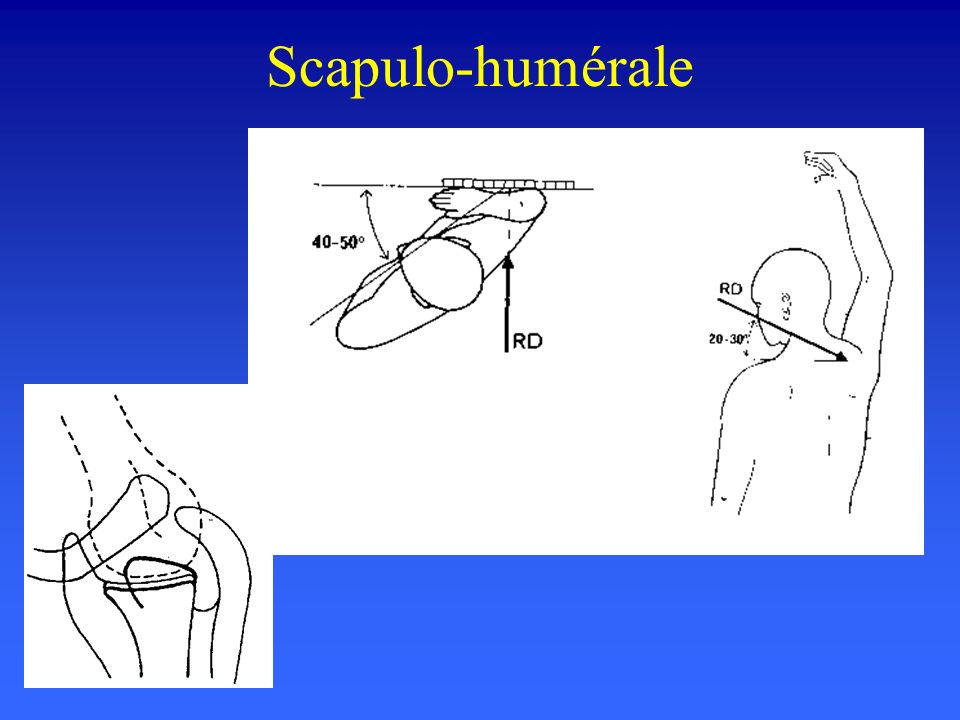 Scapulo-humérale