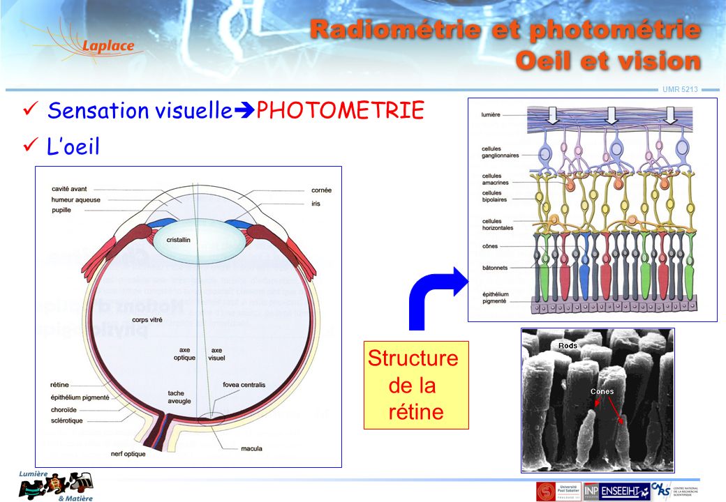 Radiométrie et photométrie Oeil et vision