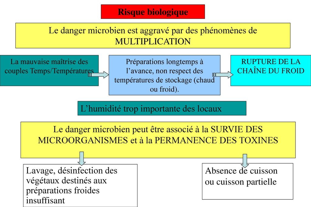 Le danger microbien est aggravé par des phénomènes de MULTIPLICATION