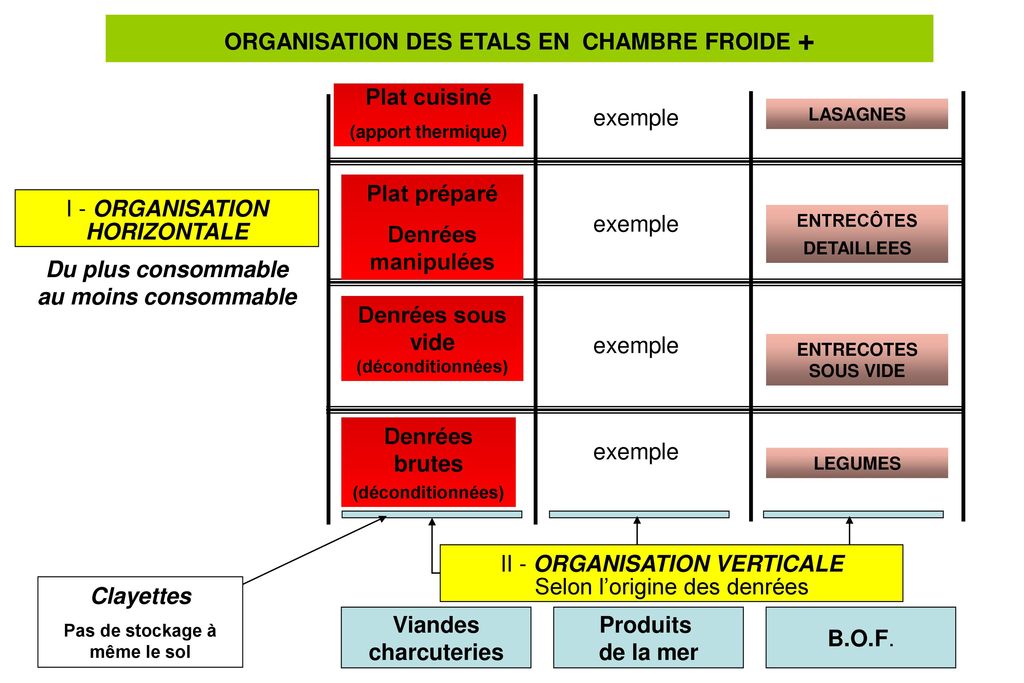 ORGANISATION DES ETALS EN CHAMBRE FROIDE +