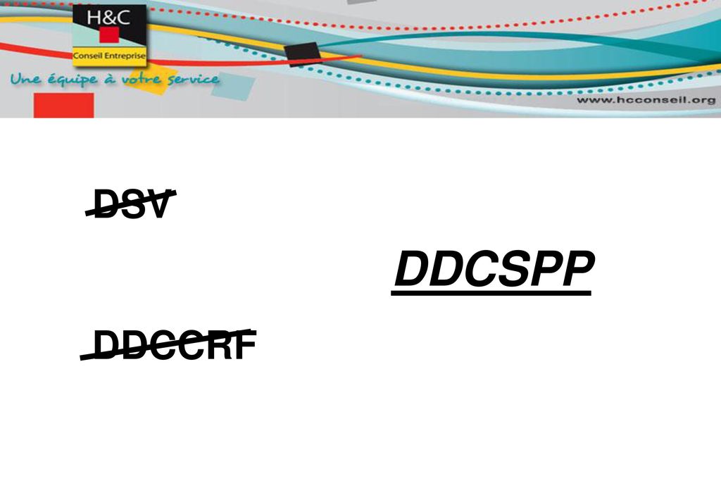 DSV DDCCRF DDCSPP