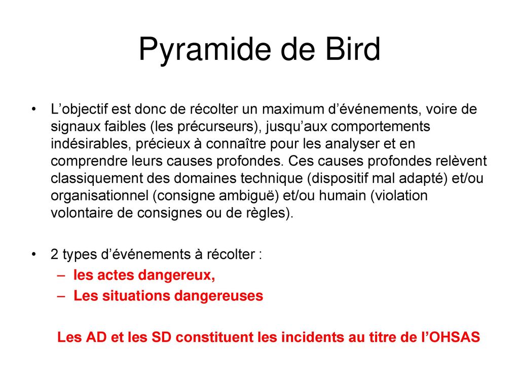 Pyramide de Bird