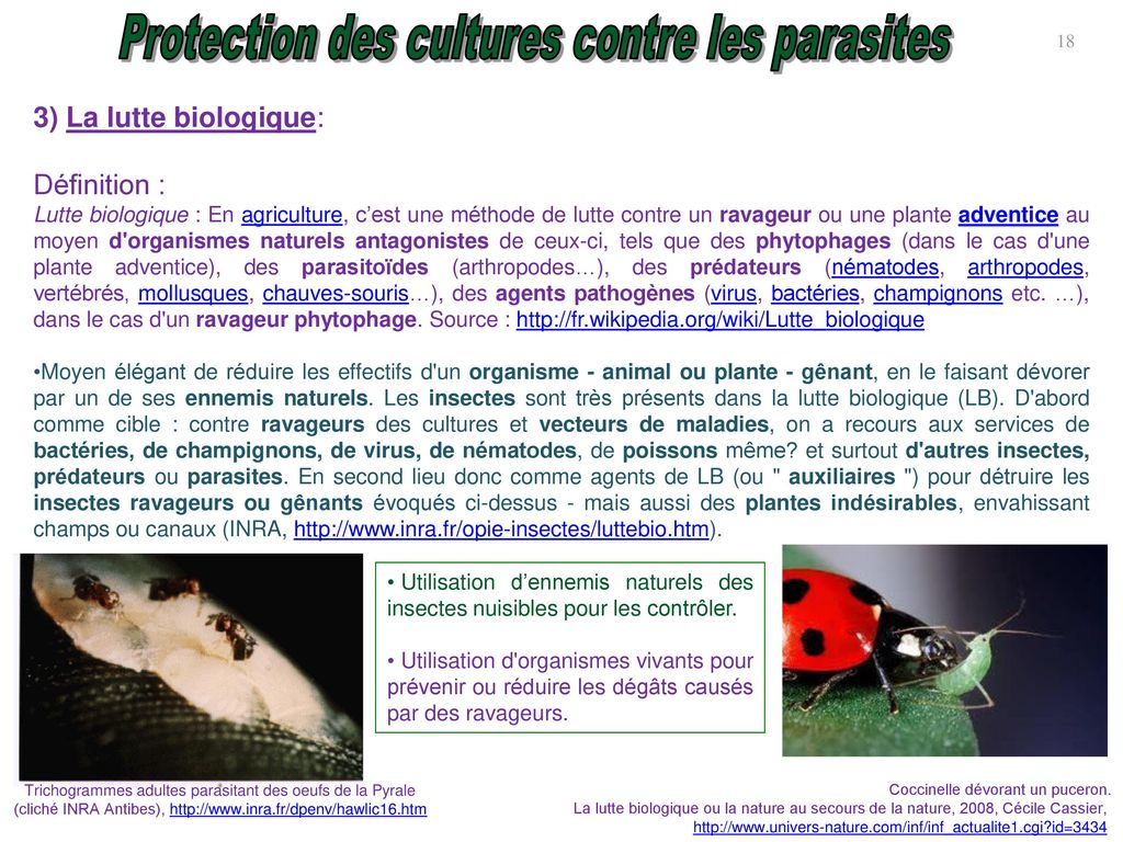 Moyens et techniques de prévention et de lutte contre les mites (insectes  ravageurs des vêtements et