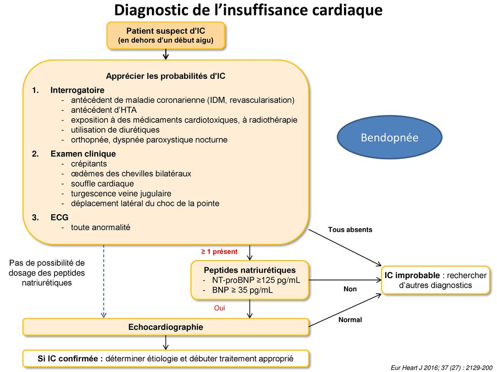 Insuffisance Cardiaque Chronique Recomandations Ppt Telecharger