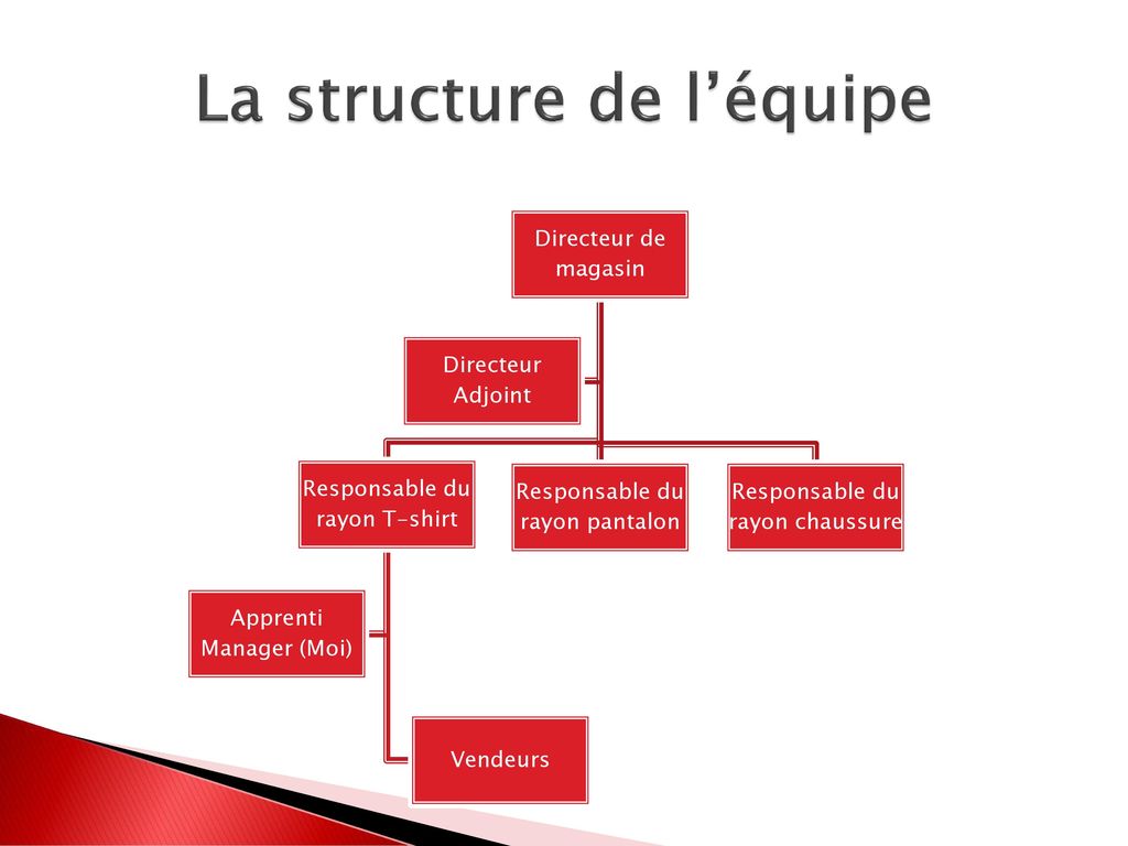 La structure de l’équipe