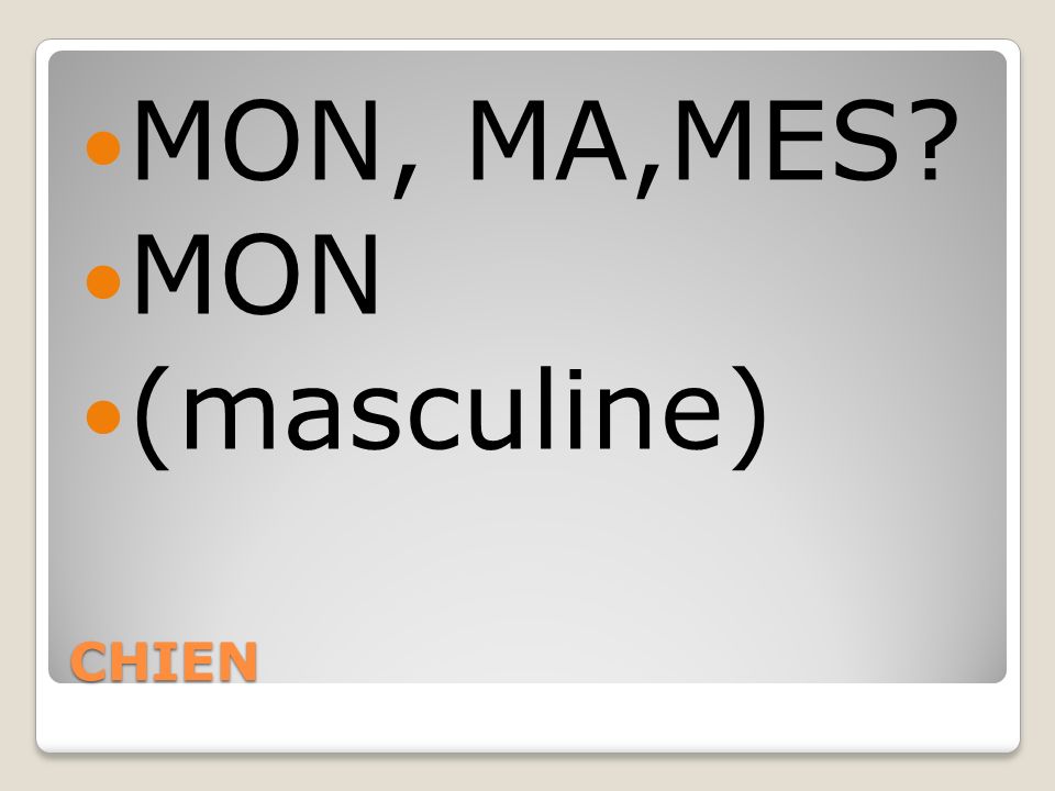 MON, MA,MES MON (masculine) CHIEN
