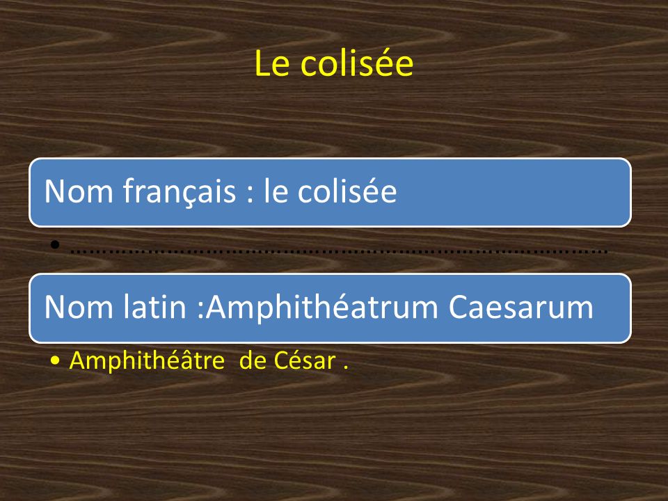 Le colisée Nom français : le colisée Nom latin :Amphithéatrum Caesarum