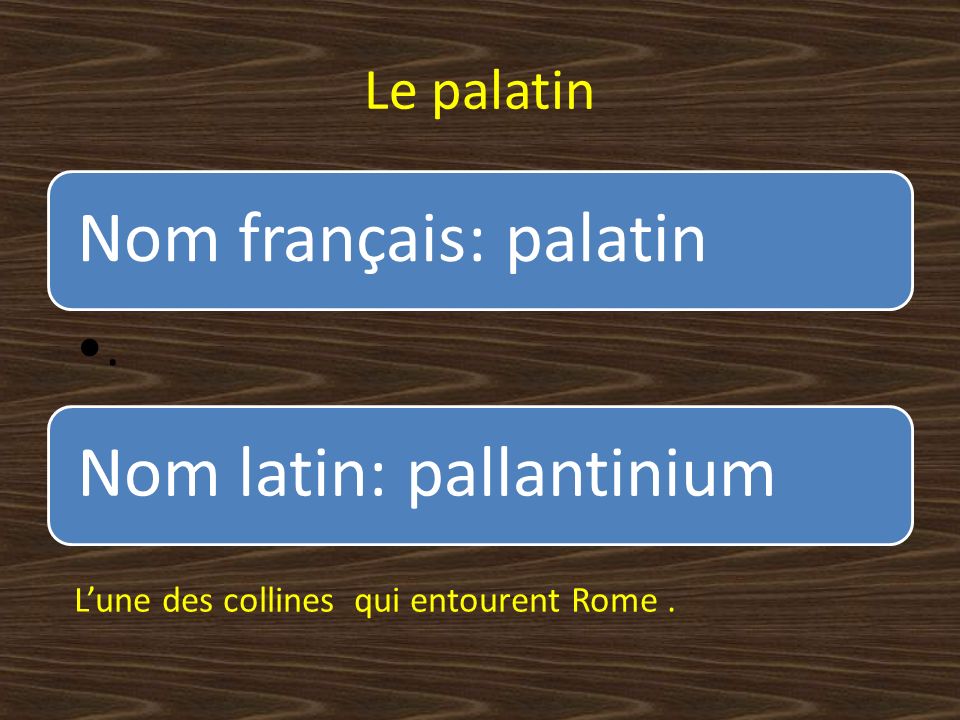 Nom français: palatin Le palatin .