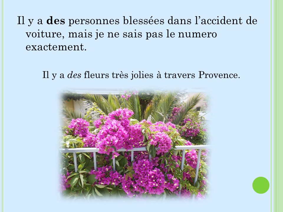 Il y a des fleurs très jolies à travers Provence.