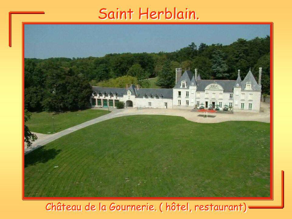 Château de la Gournerie. ( hôtel, restaurant)