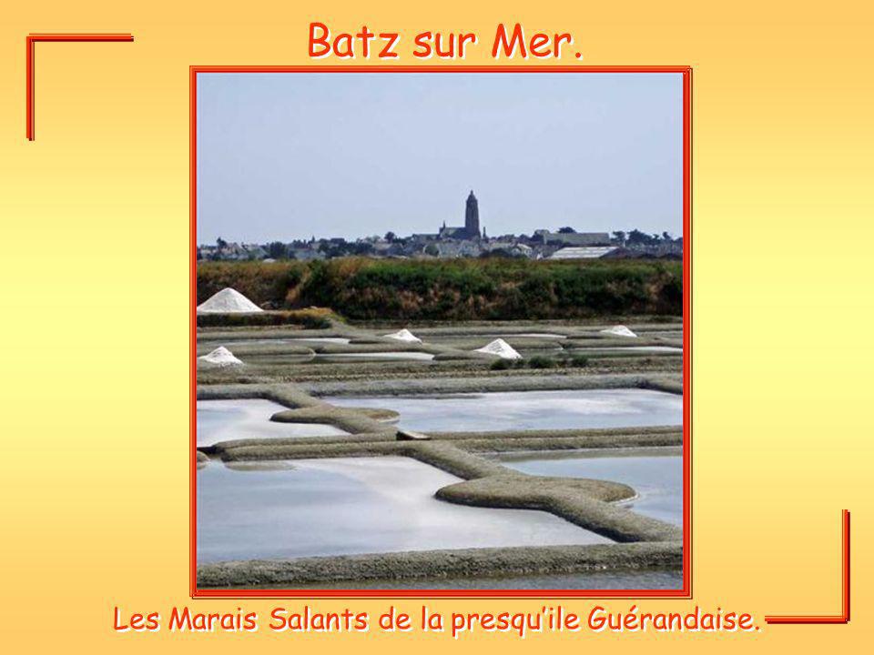 Les Marais Salants de la presqu’ile Guérandaise.