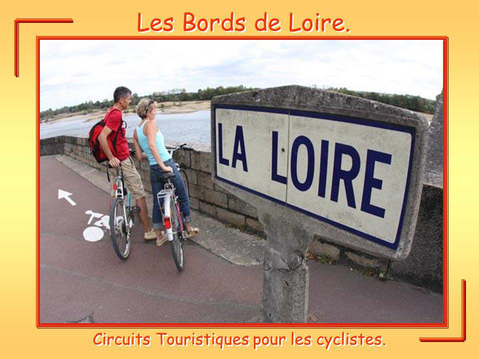 Circuits Touristiques pour les cyclistes.