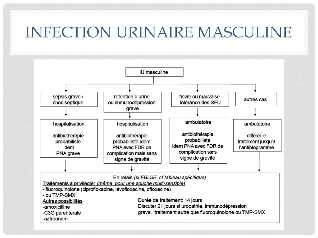 Infection urinaire masculine