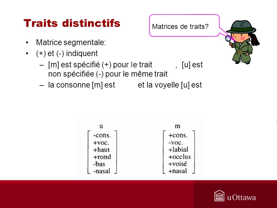 Traits distinctifs Matrice segmentale: (+) et (-) indiquent
